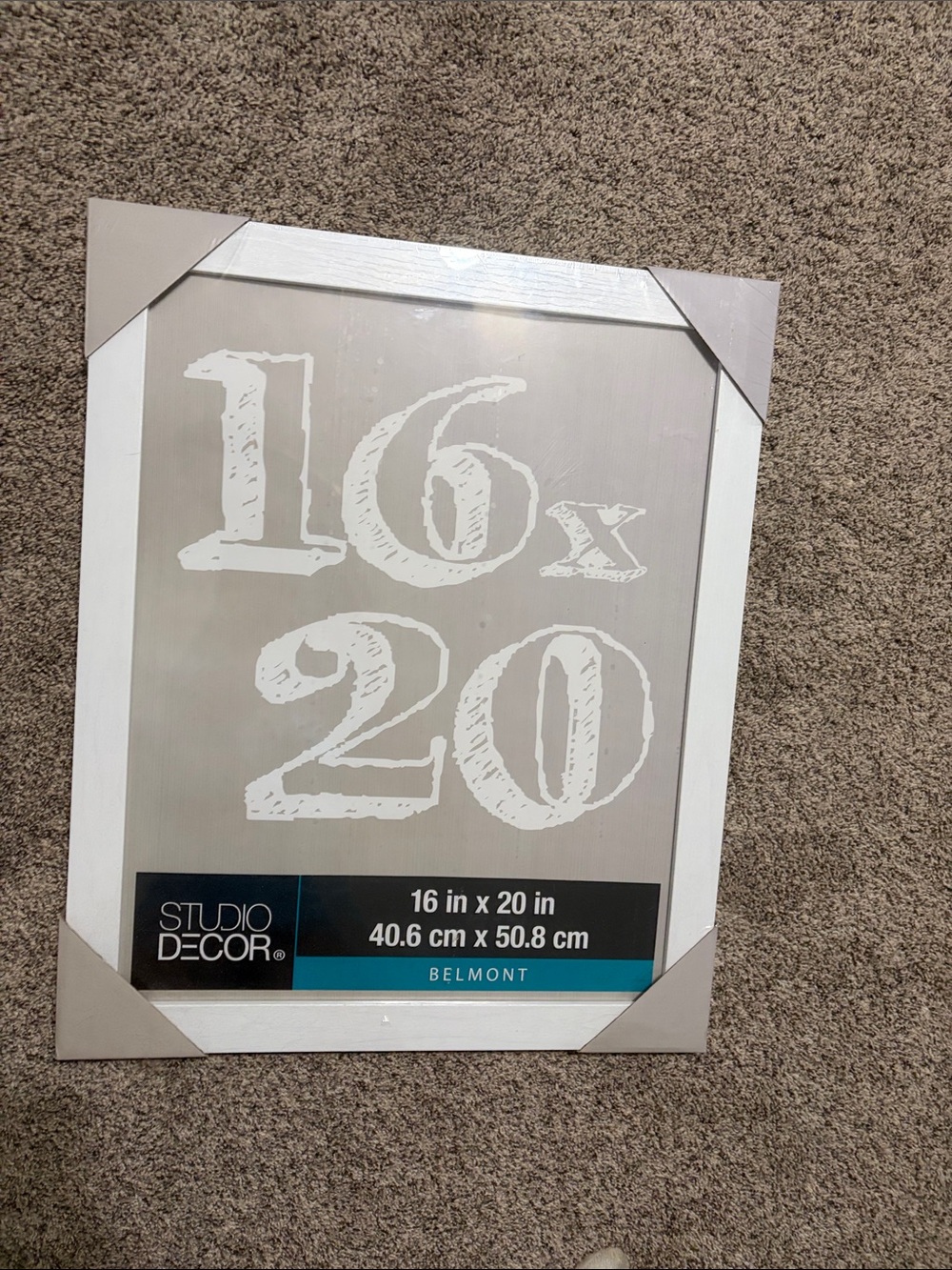 16x20 in white picture frame